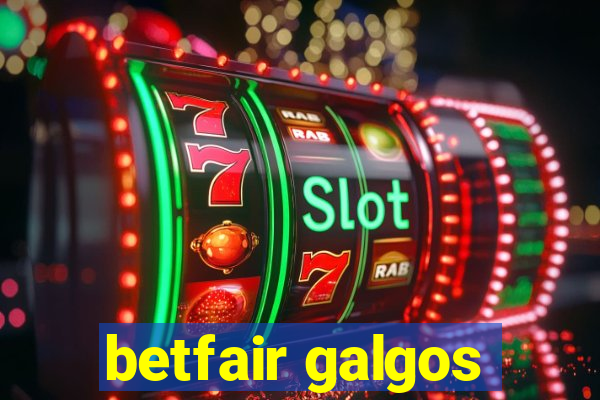 betfair galgos